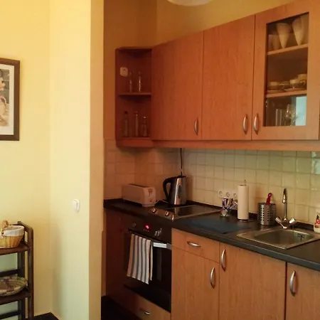 Studio Along The Danube Budapest Room photo