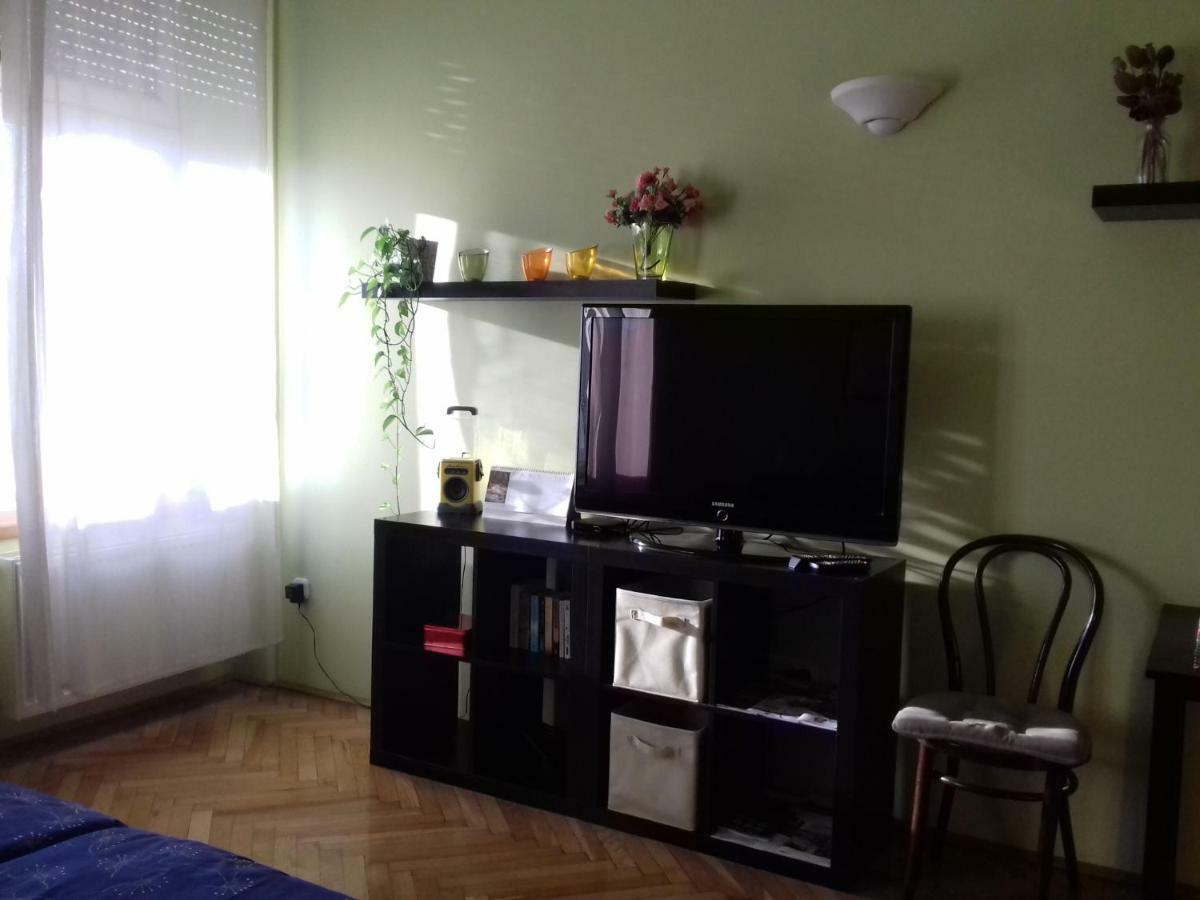 Along The Danube Apartment Budapest